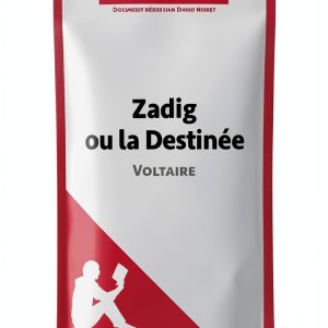LePetitLitteraire French Literature Book Analysis Guide-0