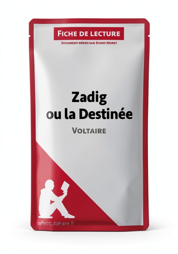 LePetitLitteraire French Literature Book Analysis Guide-0
