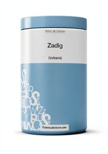 FichesDeLecture French Book Summary 28 Pages Study Guide-0