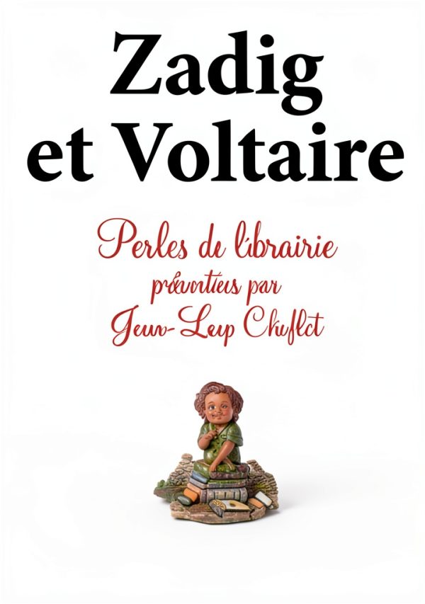 CHIFLET French Book 123 Pages Language Learning Guide-0