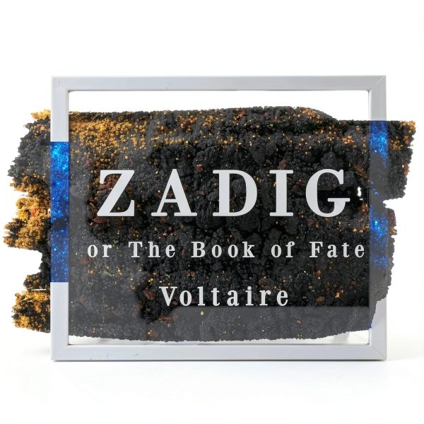 Pavo Monitor Arm Ergonomic Adjustable Desk Mount-0