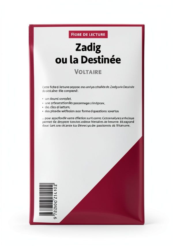 LePetitLitteraire French Literature Book Analysis Guide-1
